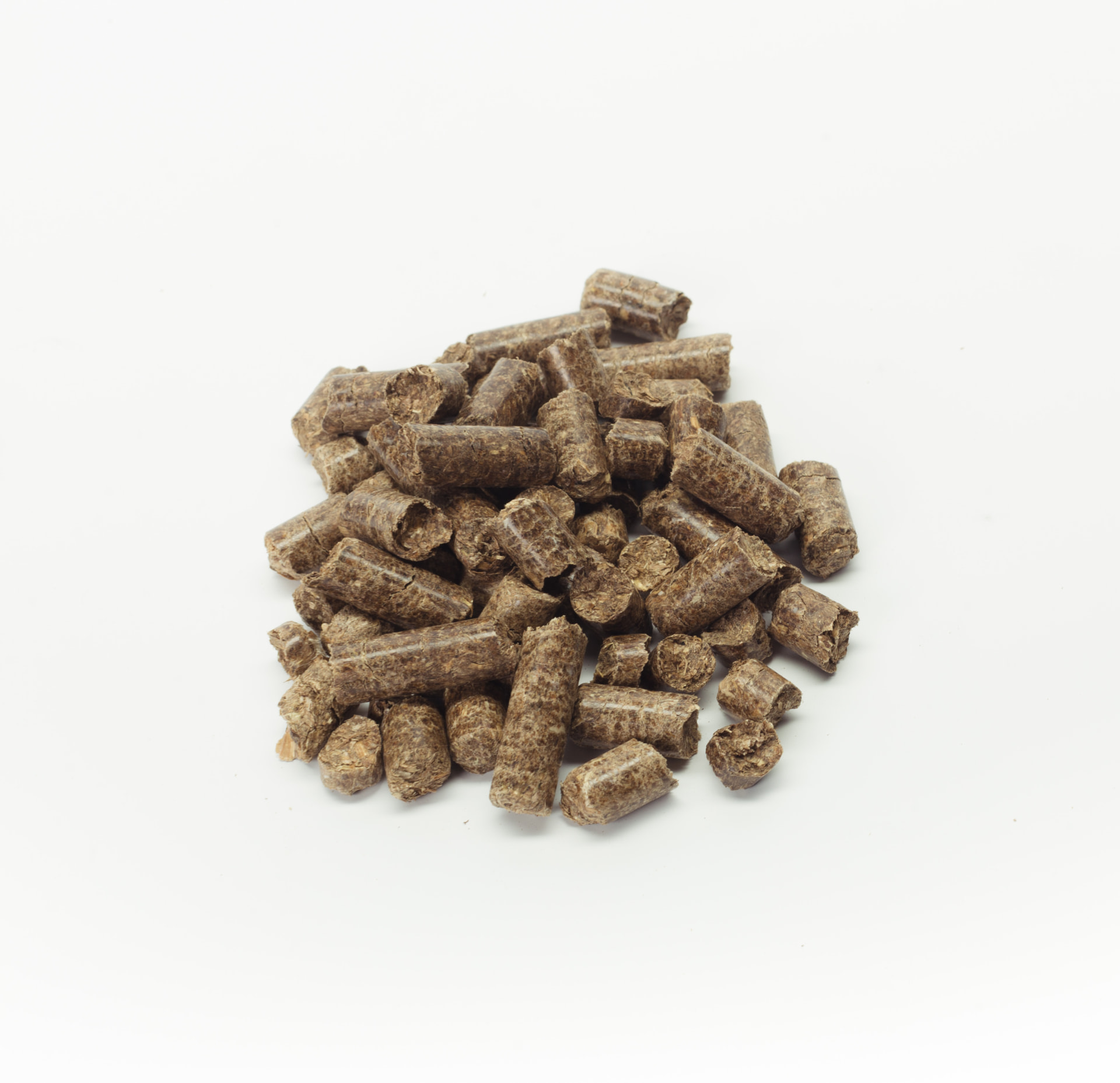 Pellets de madera Biomasa Ecuador sobre fondo blanco